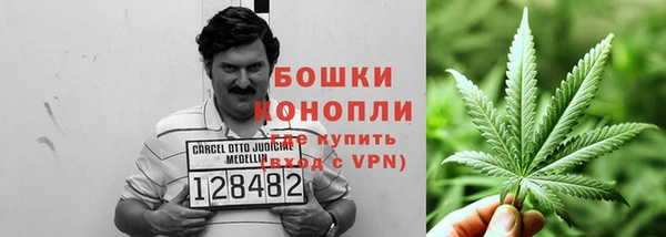 ПСИЛОЦИБИНОВЫЕ ГРИБЫ Беломорск