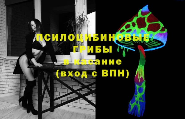 ПСИЛОЦИБИНОВЫЕ ГРИБЫ Беломорск
