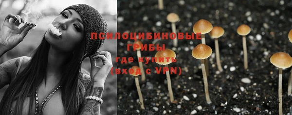 МДПВ Белокуриха