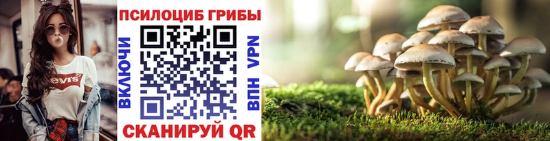 Псилоцибиновые грибы Psilocybine cubensis  блэк спрут рабочий сайт  Отрадная 